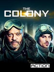 ACTION - The colony
