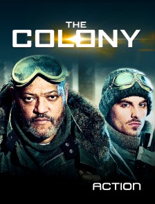 The colony