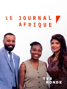 TV5MONDE - Le journal Afrique