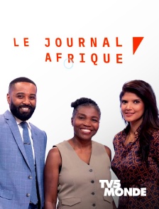 TV5MONDE - Le journal Afrique