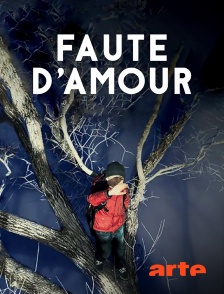 Arte - Faute d'amour