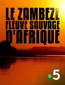 France 5 - Le Zambèze, fleuve sauvage d'Afrique
