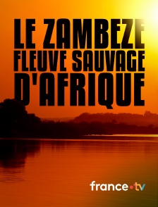france.tv - Le Zambèze, fleuve sauvage d'Afrique