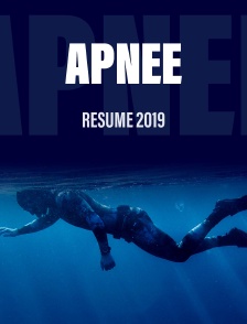 Plongée en apnée Résumé 2019