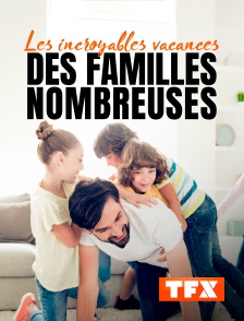 Les incroyables vacances des familles nombreuses