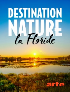 Arte - Destination nature : la Floride