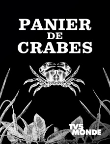 TV5MONDE - Panier de crabes