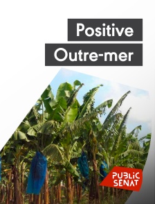 Public Sénat - Positive Outre-mer