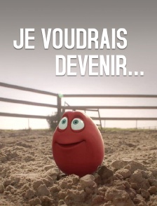 Je voudrais devenir...