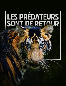 Les prédateurs sont de retour