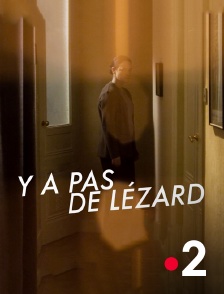 Y'a pas de lézard