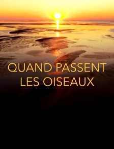 Quand passent les oiseaux
