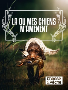 Chasse et pêche - Là où mes chiens m'amènent