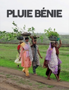 Pluie bénie