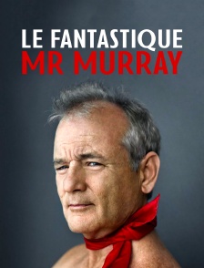 Le fantastique Mr Murray