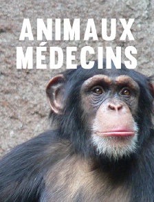 Animaux médecins