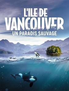 L'île de Vancouver : un paradis sauvage