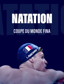 Natation - Coupe du monde FINA