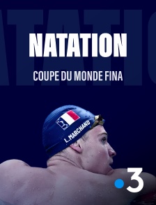 Natation - Coupe du monde FINA