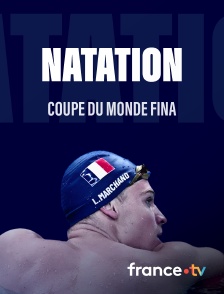 france.tv - Natation - Coupe du monde FINA
