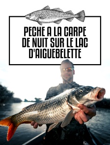 Pêche à la carpe de nuit sur le lac d'Aiguebelette