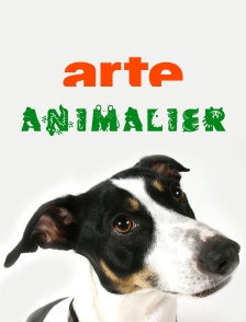 Arte Animalier