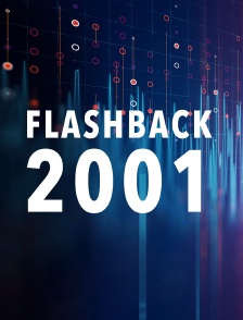 Flashback 2001