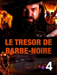 France 4 - Le trésor de Barbe-Noire