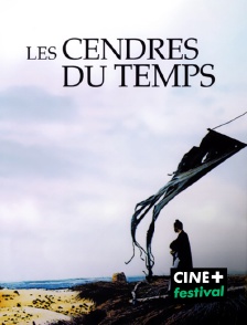 CINE+ Festival - Les cendres du temps