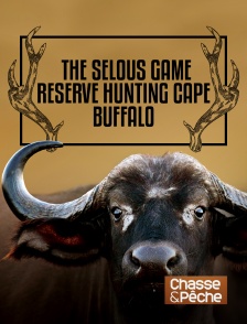 The Selous Game Reserve : Hunting Cape Buffalo
