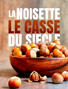 La noisette : le casse du siècle
