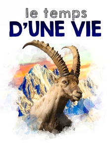 Le temps d'une vie