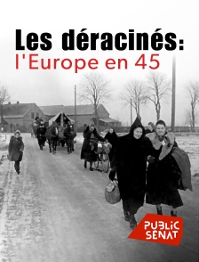 Public Sénat - Les déracinés : l'Europe en 45