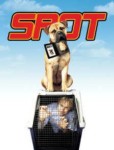 Spot