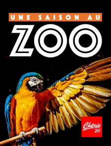 Chérie 25 - Une saison au zoo