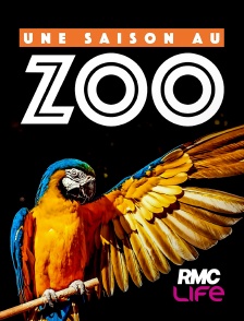 RMC Life - Une saison au zoo