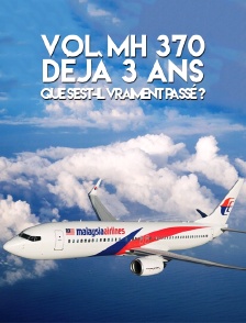 Vol MH 370 déjà 3 ans : que s'est-il vraiment passé ?