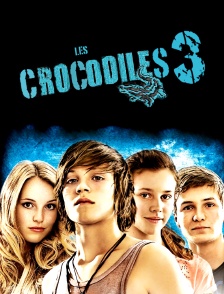 Les Crocodiles 3
