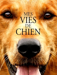 Mes vies de chien