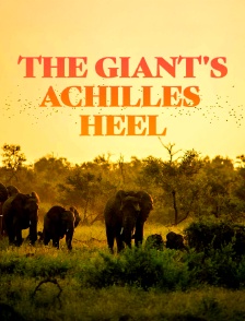 The Giant's Achilles Heel