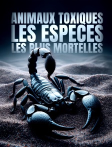 Animaux toxiques : les espèces les plus mortelles