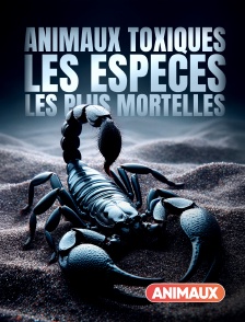 Animaux - Animaux toxiques : les espèces les plus mortelles