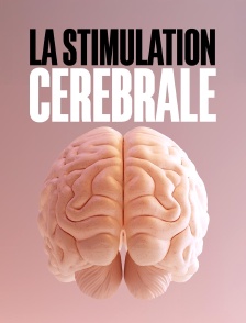 Soigner Parkinson, l'épilepsie, la dépression : La stimulation cérébrale, un nouvel espoir