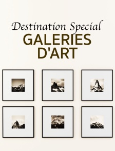 Destination Special : Galeries D'Art