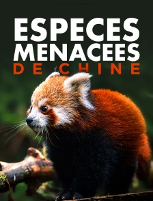 Espèces menacées de Chine