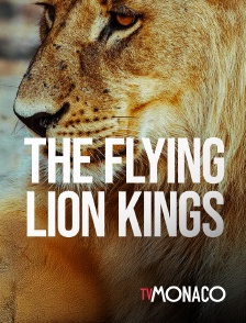 TV Monaco - The Flying Lion Kings en replay