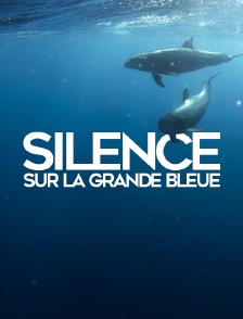 Silence sur la grande bleue