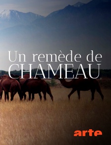 Arte - Un remède de chameau : La révolution des nanocorps