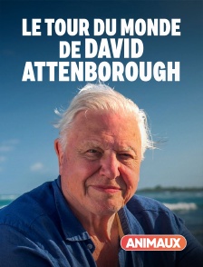 Animaux - Le tour du monde de David Attenborough