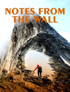 Notes from the Wall